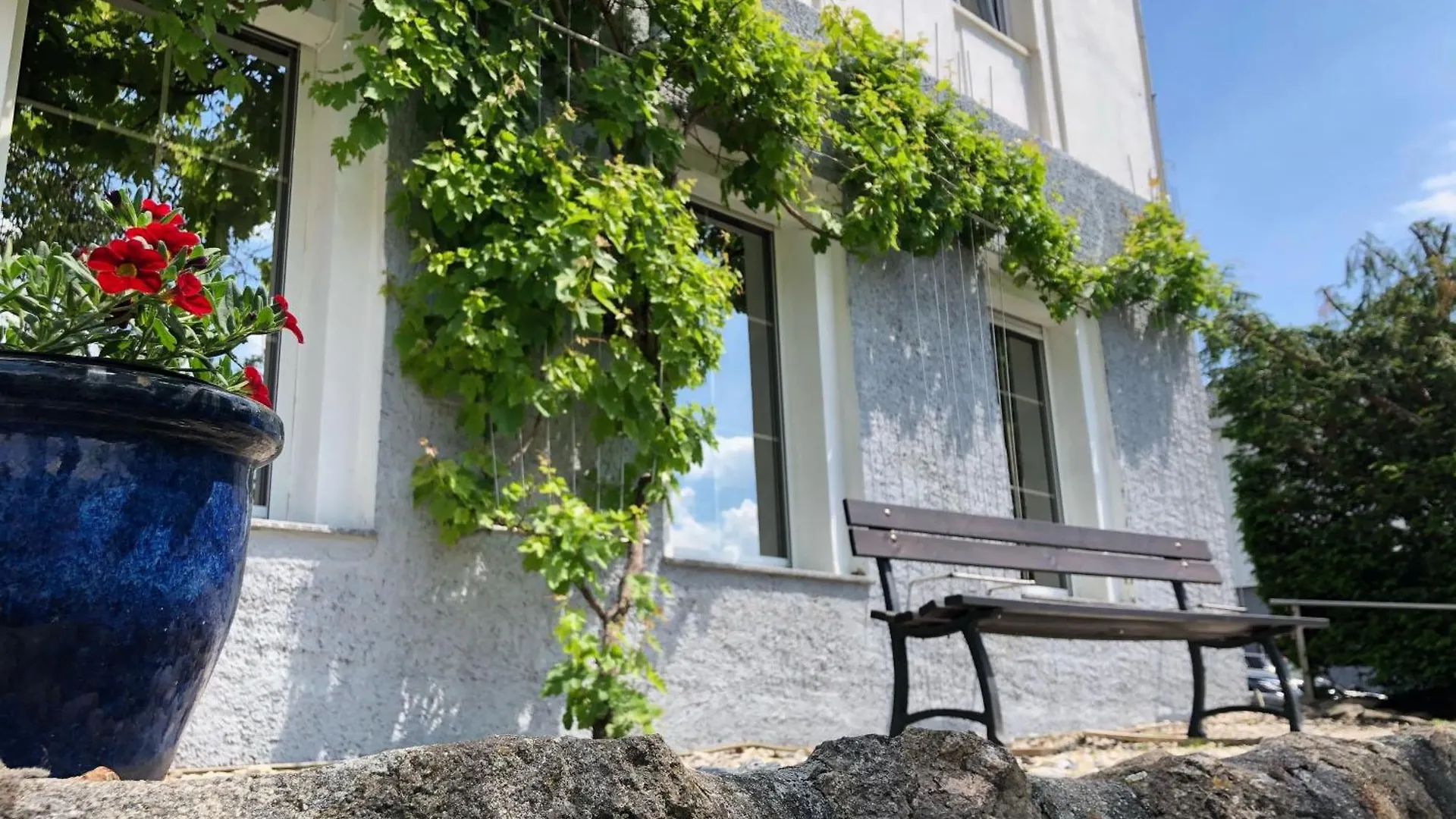 Apartament Gemuetliche Wohnung In Niederpoyritz Mit Garten Drezno